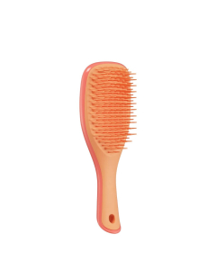 Tangle Teezer Wet Detangler Mini Pink Orange